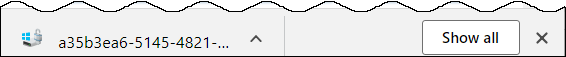 File downloaded to Chrome, Show All button