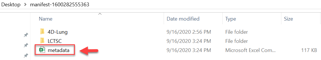 Manifest folder tree, which includes two folders called 4D-Lung and LCTSC and an Excel file called metadata.