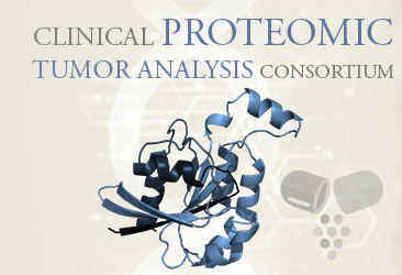 The Cancer Imaging Archive (TCIA) Public Access > CPTAC-UCEC > cptac-logo.png
