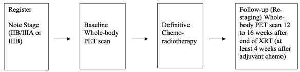 The Cancer Imaging Archive (TCIA) Public Access > ACRIN-NSCLC-FDG-PET (ACRIN 6668) > image2019-1-15_17-48-59.png